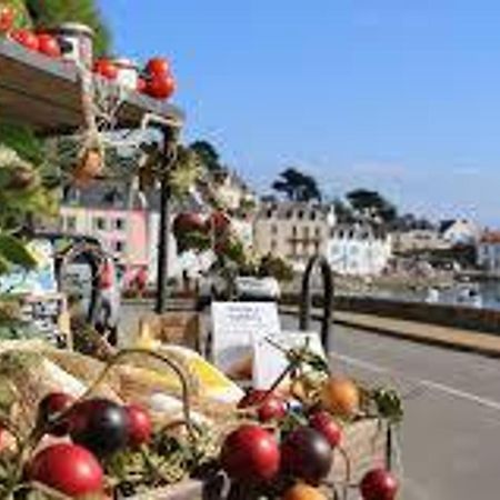 Charmante Maison A Sauzon Avec Grand Jardin, Proche Commerces Et Plage - Fr-1-418-82 Zewnętrze zdjęcie